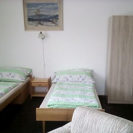 Apartment Vysocina Svratka ภายนอก รูปภาพ